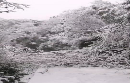 戰(zhàn)暴雪、保供電！湖南發(fā)展鳥兒巢公司應(yīng)對極端天氣緊急搶修失電故障